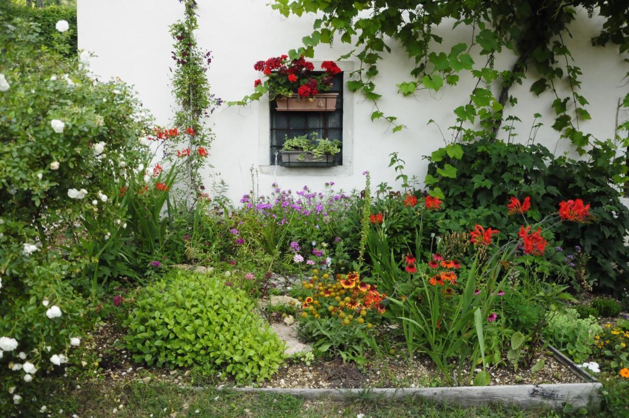 Il Sanco Bed & Breakfast Selva di Progno Екстериор снимка